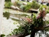 matrimonio-pagoda-fiori